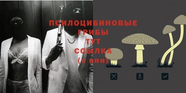прущие крисы Аркадак