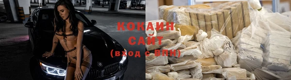 прущие крисы Аркадак