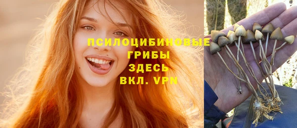 прущие крисы Аркадак